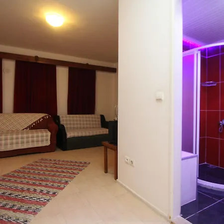 Koz Marigold 2*