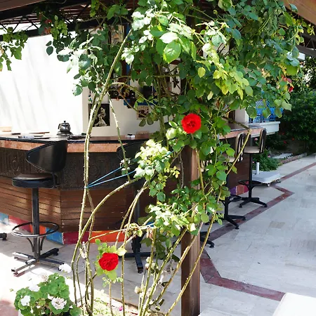מלון דירות Koz Marigold Çeşme