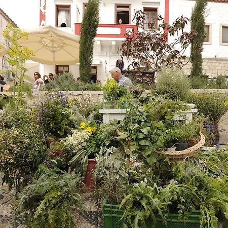 Aparthotel Koz Marigold