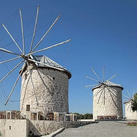 Koz Marigold 2* Çeşme